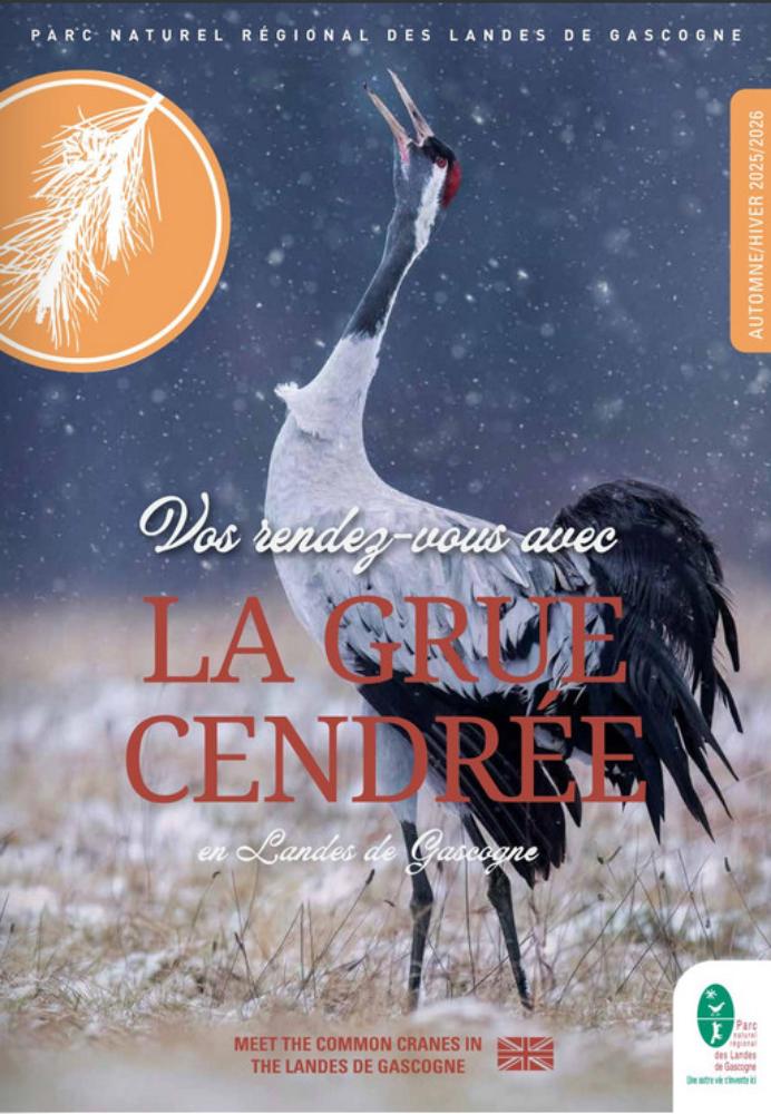 grues landes de gascogne