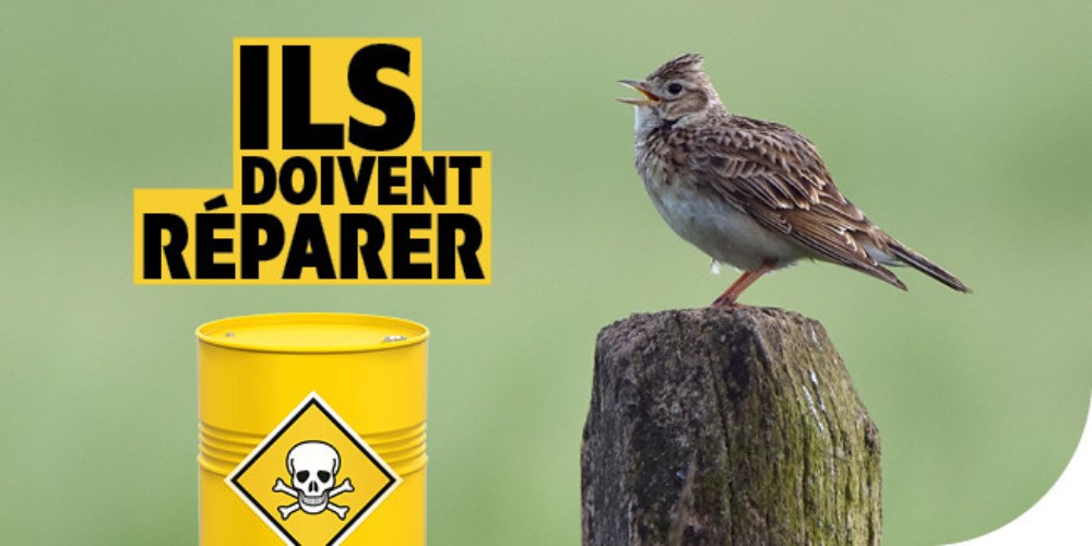 ils doivent réparer lpo france