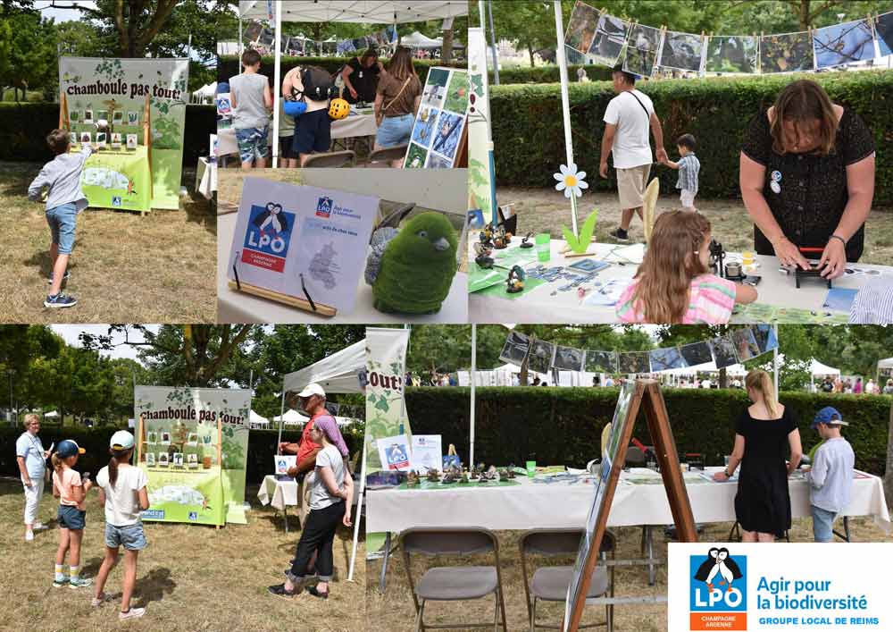 Fête à Luton (51)
