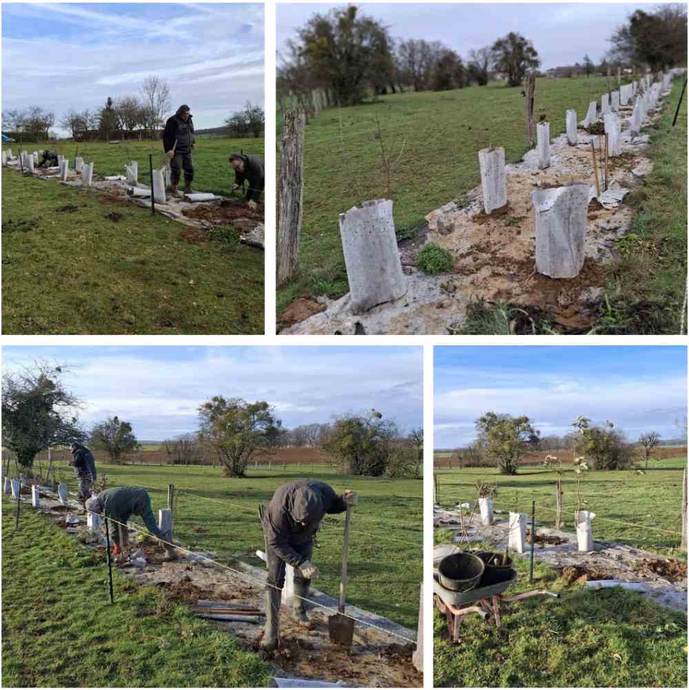 montage haies magneux