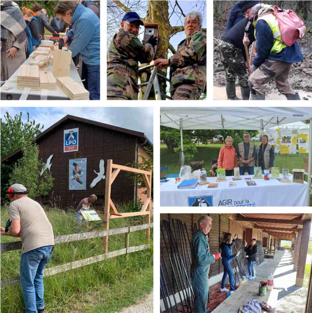 Photos LPO C.A. montage photos benevoles2025