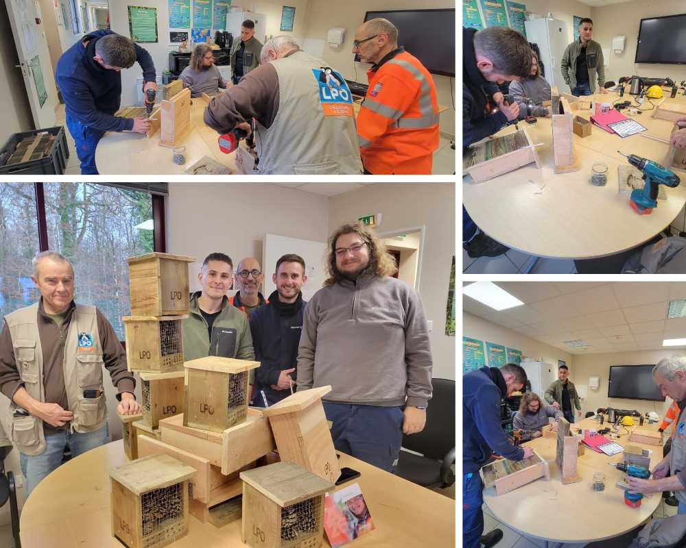 Photos Fanny Boissier montage storengy 2025