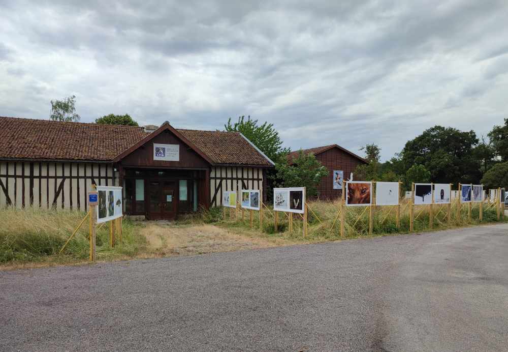 Photo DomB photos der nature domb