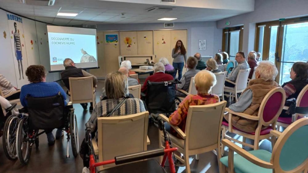 réunion cochevis jean françois henry