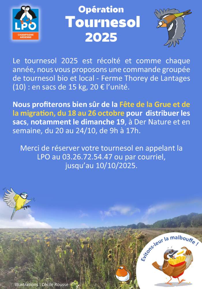 tournesol