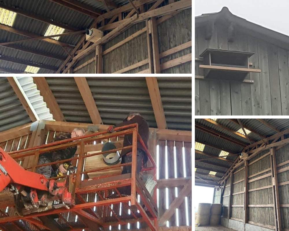 une chouette un village epernay