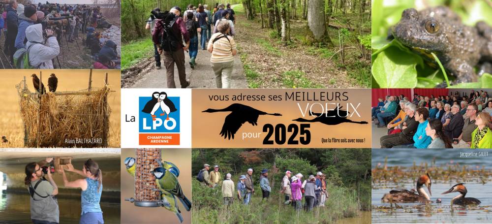 voeux lpo 2025