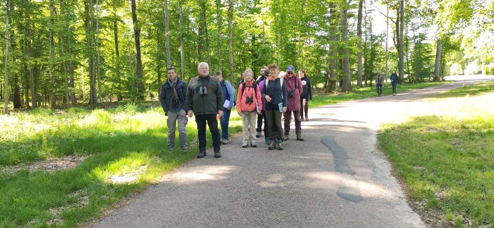 Formation chants doiseaux