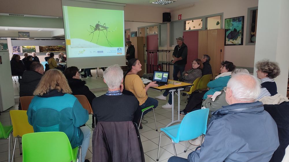 animation moustique 2025 domb