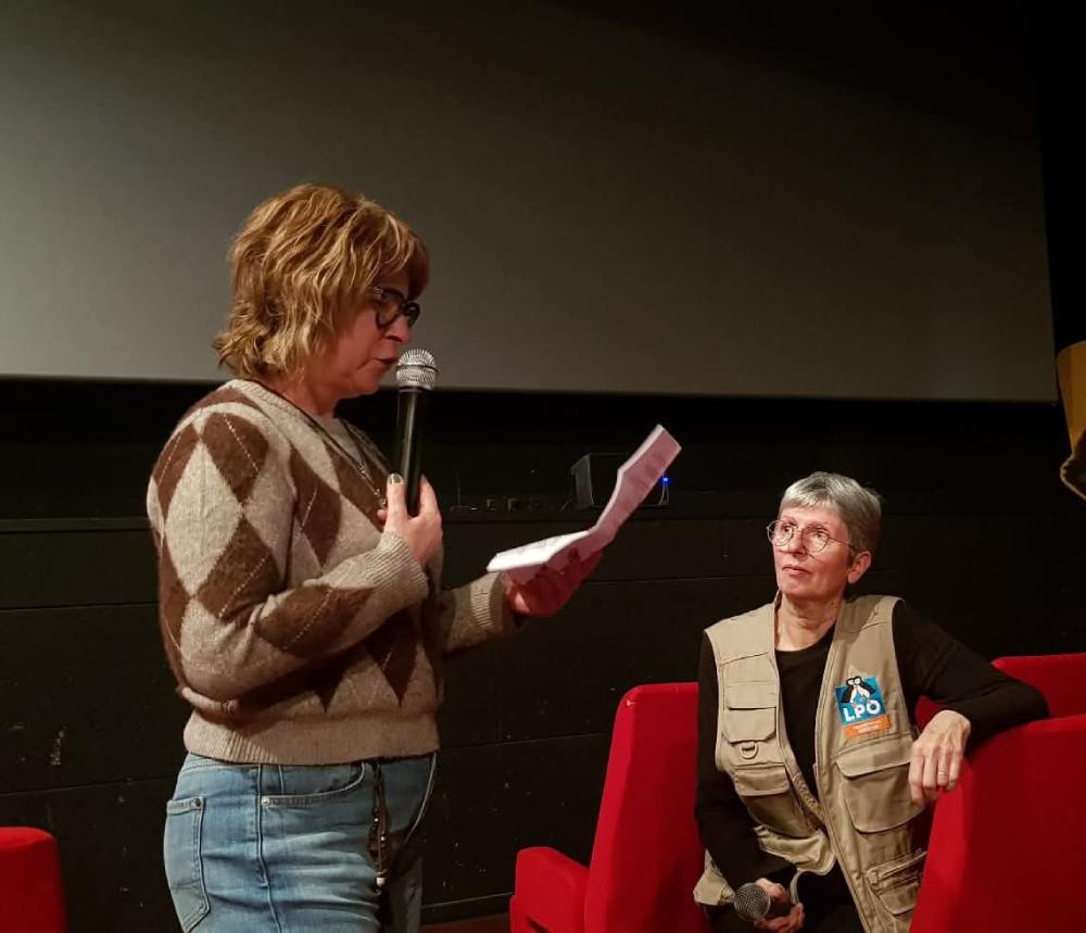 animus femina langres