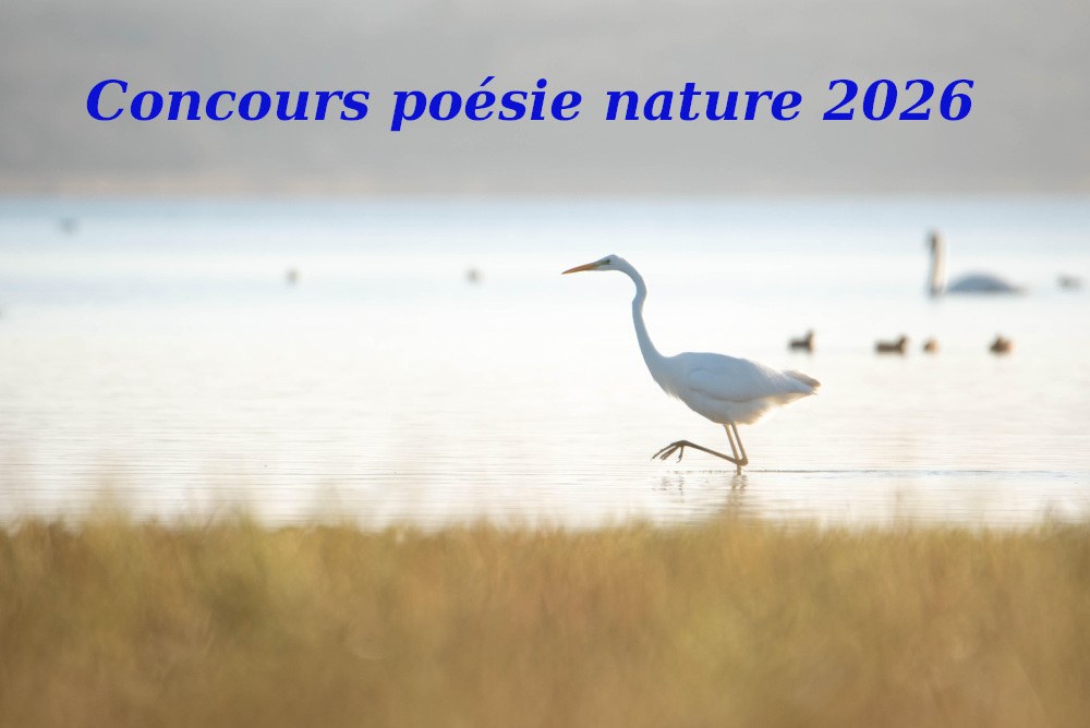 concours poesie nature lucas carre