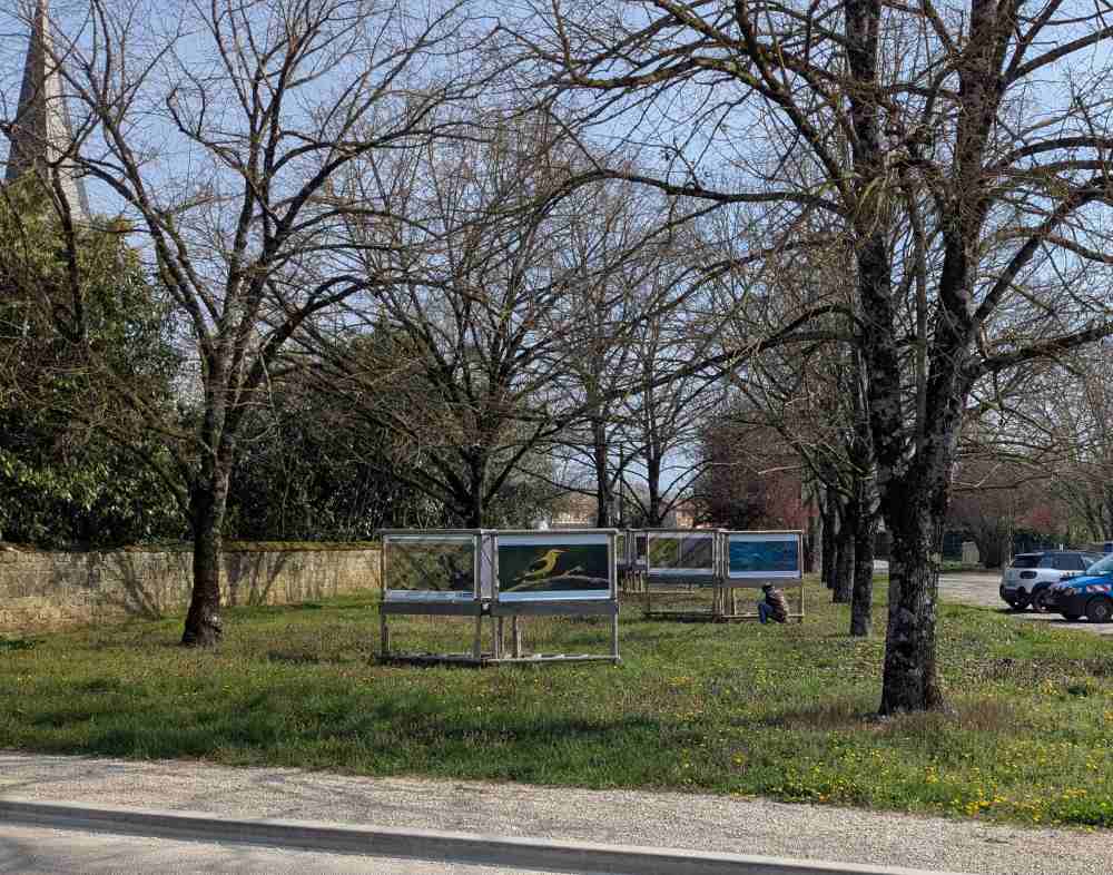 Photo Aymeric Mionnet expo larzicourt photo 11