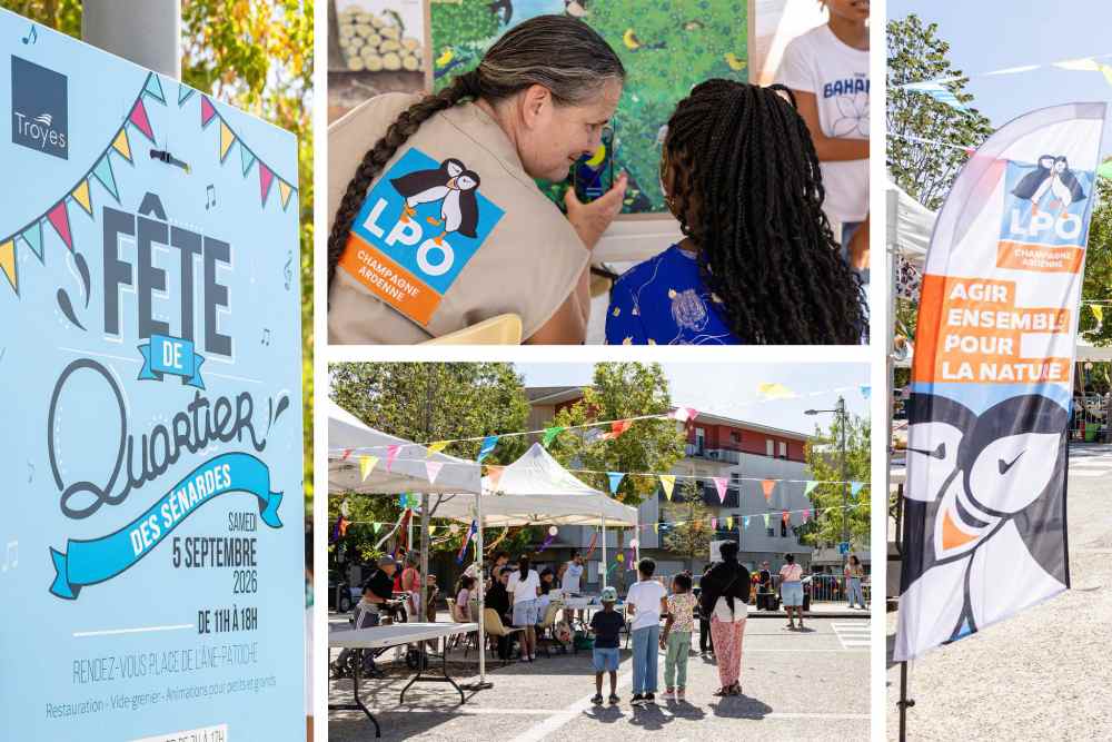 fete quartier senardes 1