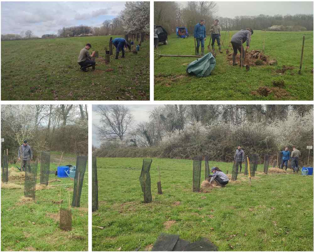 haie grand coulon 2026 domb