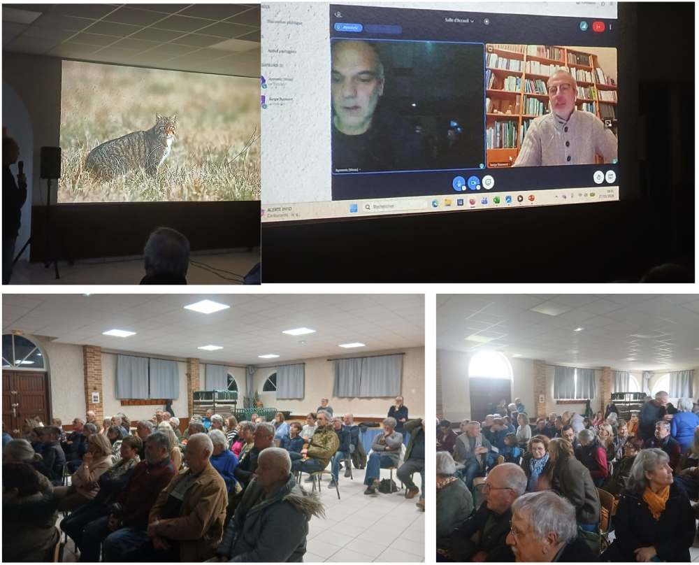 jungle deau douce larzicourt didier donot