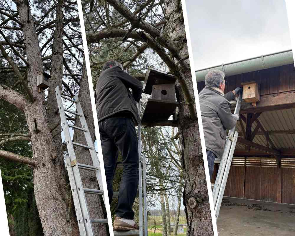 nettoyage nichoirs morangis epernay