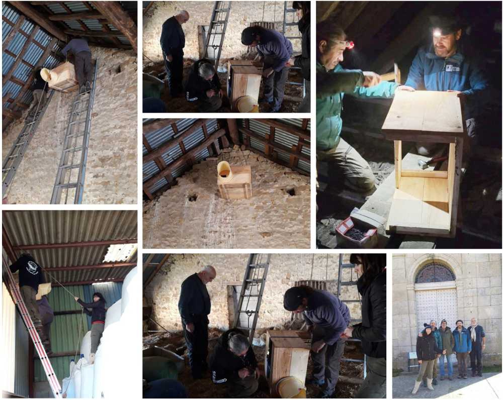 nichoirs chouettes 2026 gl chaumont langres