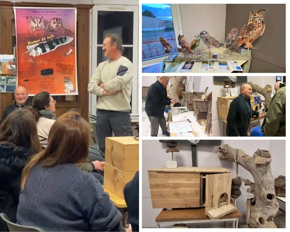 nuit de la chouette a vauchassis 2026