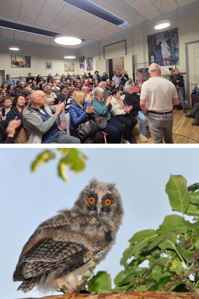 nuit de la chouette estissac f.croset