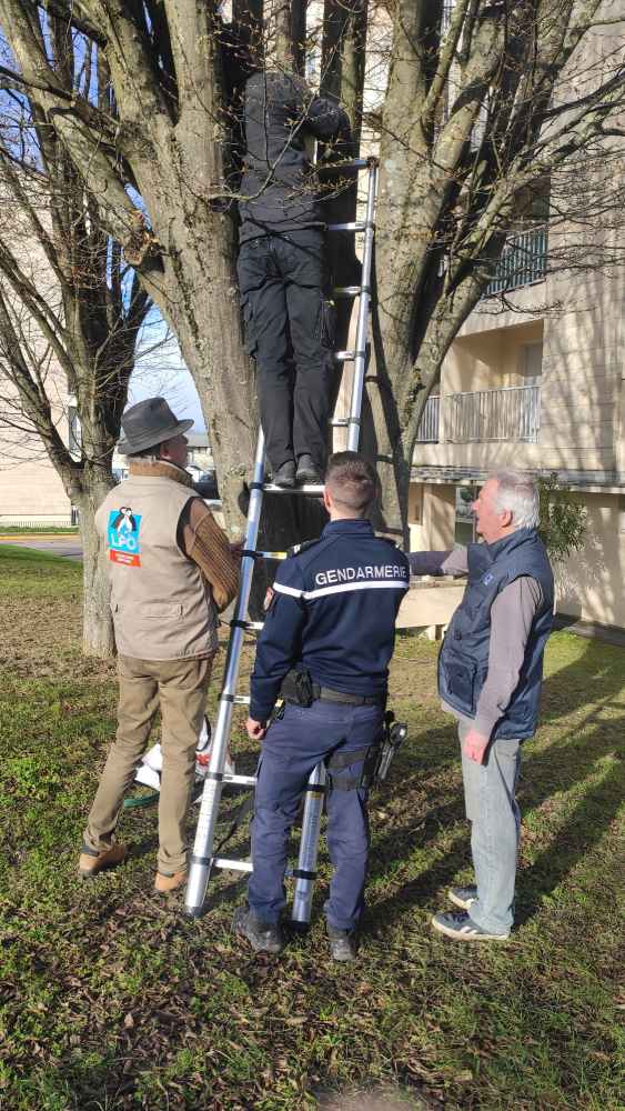 posenichoirs gendarmerie chalons