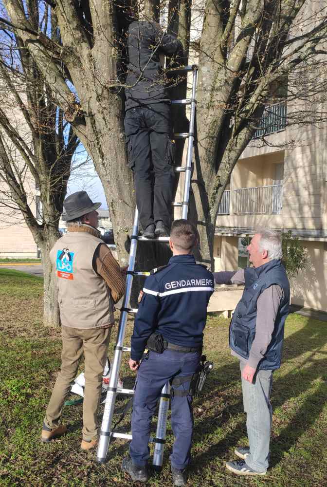 Photo GL Châlons en Champagne posenichoirs gendarmerie chalons