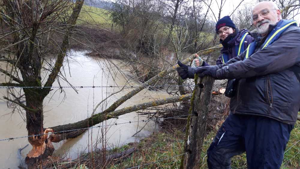 prospection castor haute marne m commoy