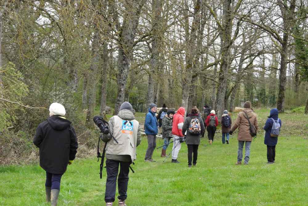 Photo gl chaumont-Langres sortie nature villegusien 2026
