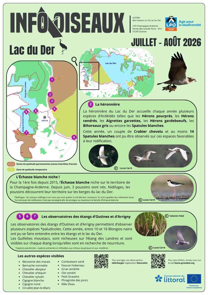 Affiche LPO C.A. INFO OISEAUX LAC DU DER JUILLET AOUT