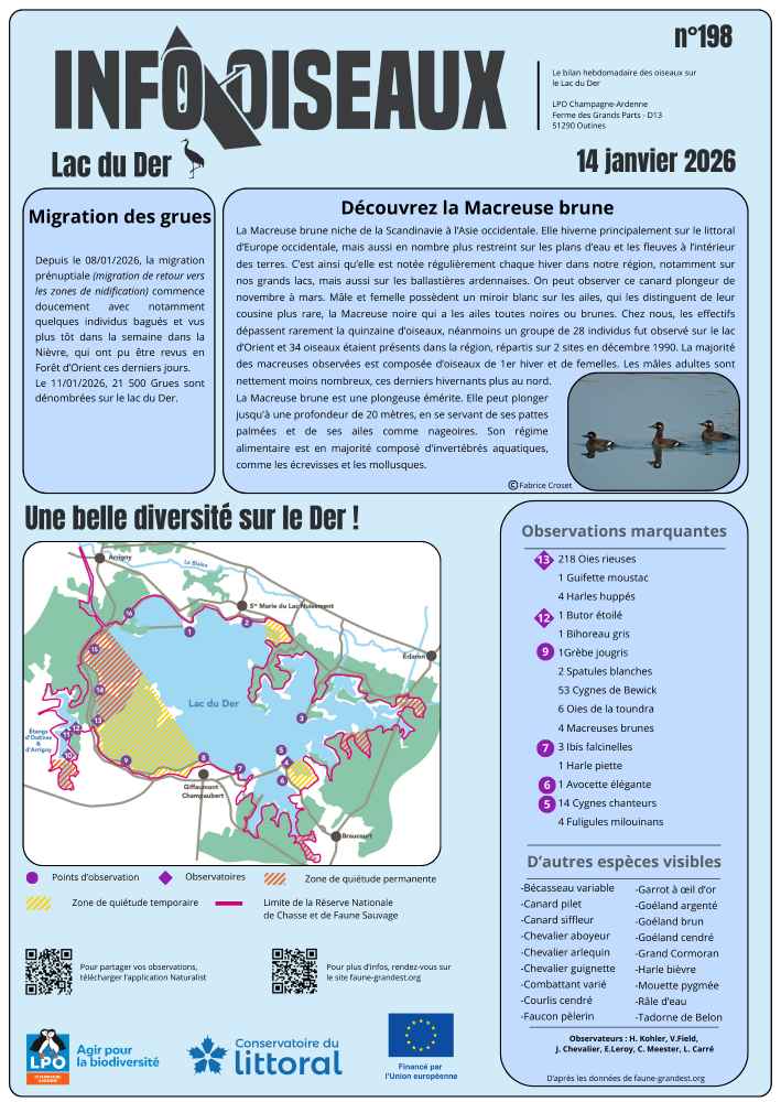 info oiseaux lac du der n198