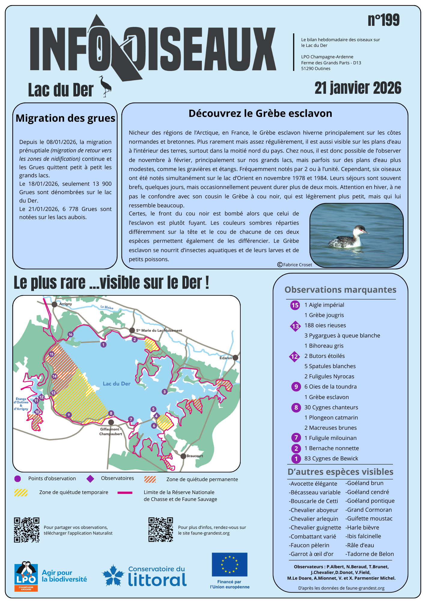 info oiseaux lac du der n199