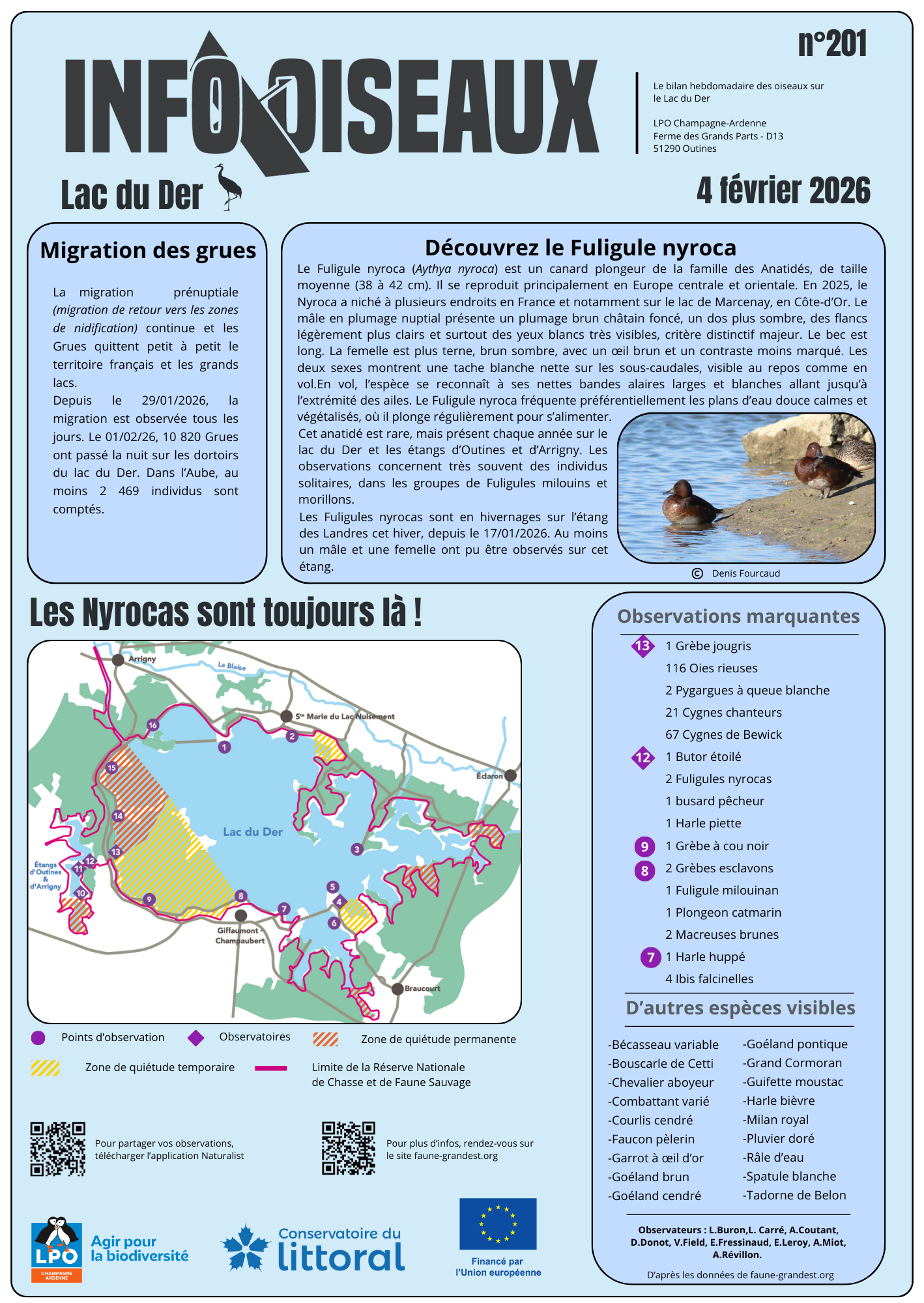 info oiseaux lac du der n201