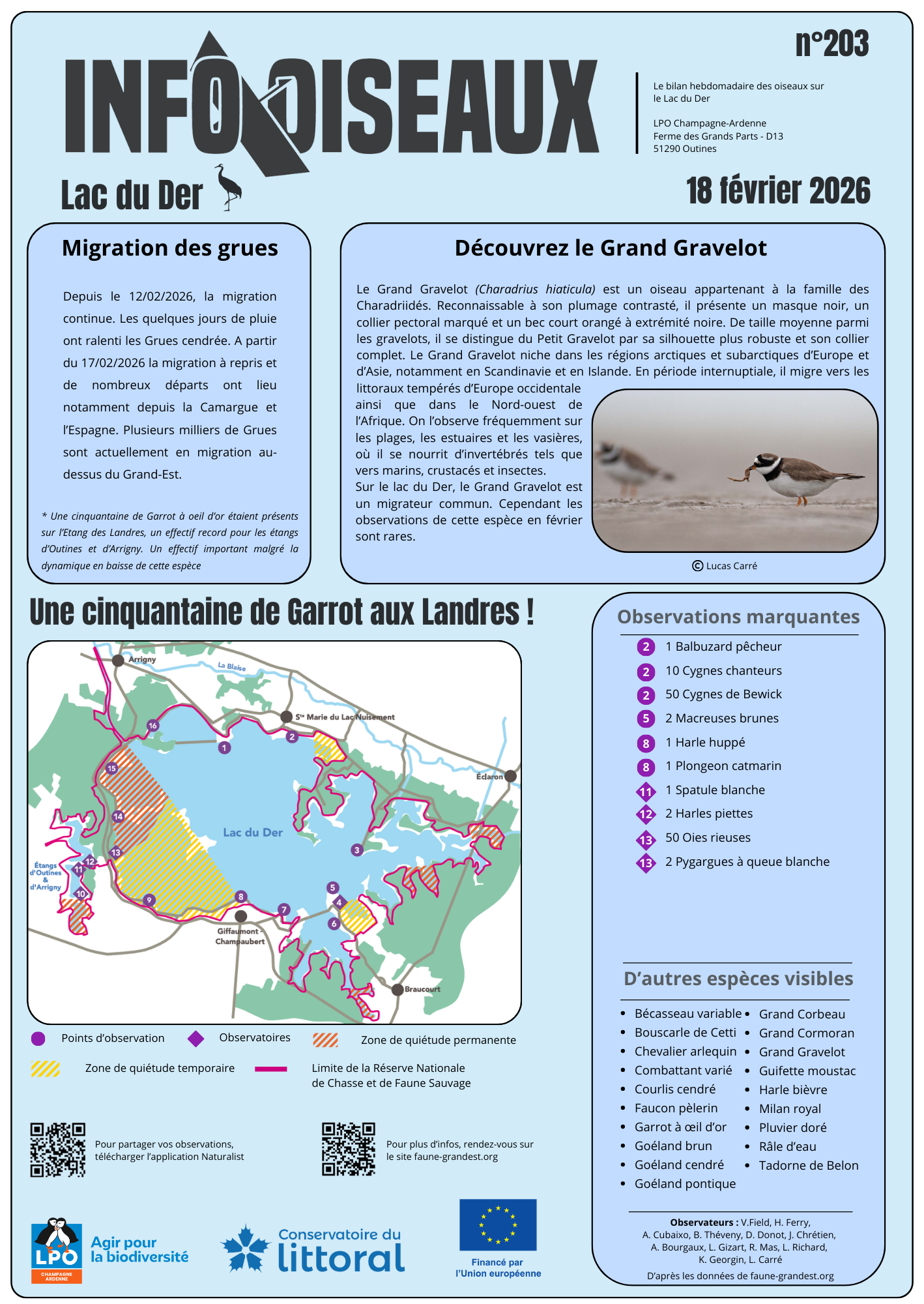 info oiseaux lac du der n203