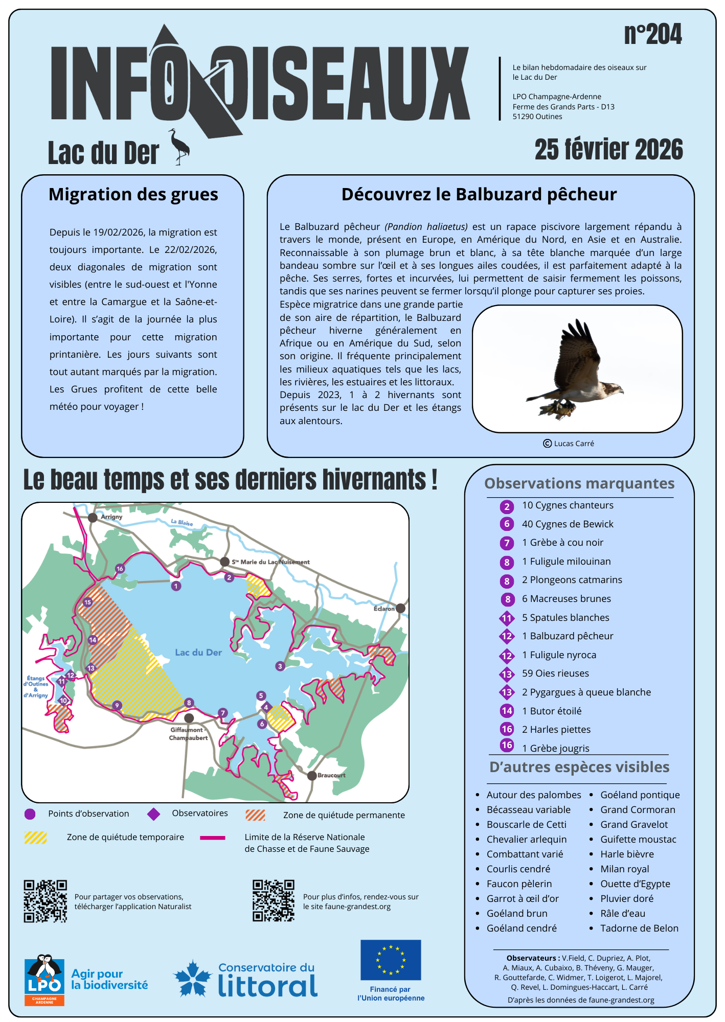 info oiseaux lac du der n204