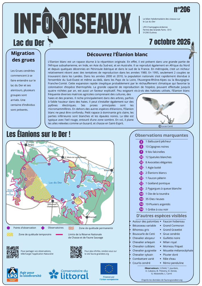 info oiseaux lac du der n206