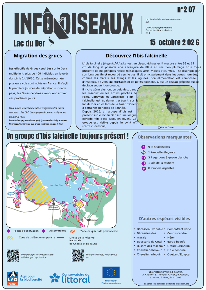 info oiseaux lac du der n207