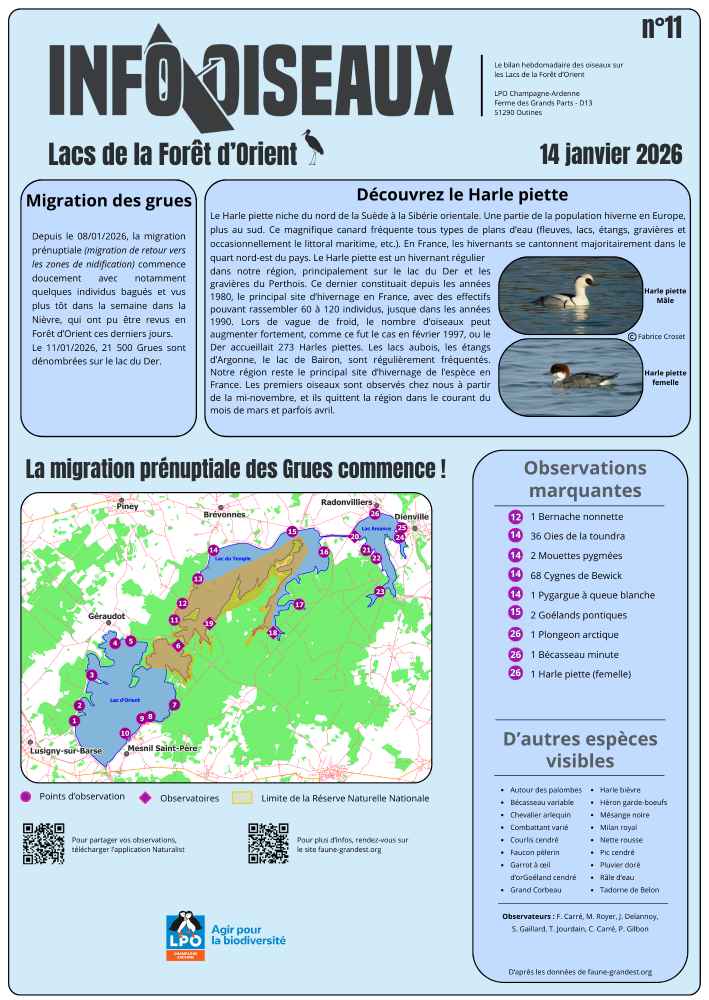 info oiseaux 25 03 12