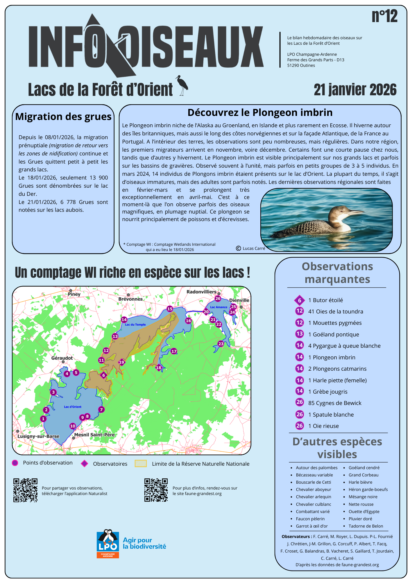 info oiseaux 12