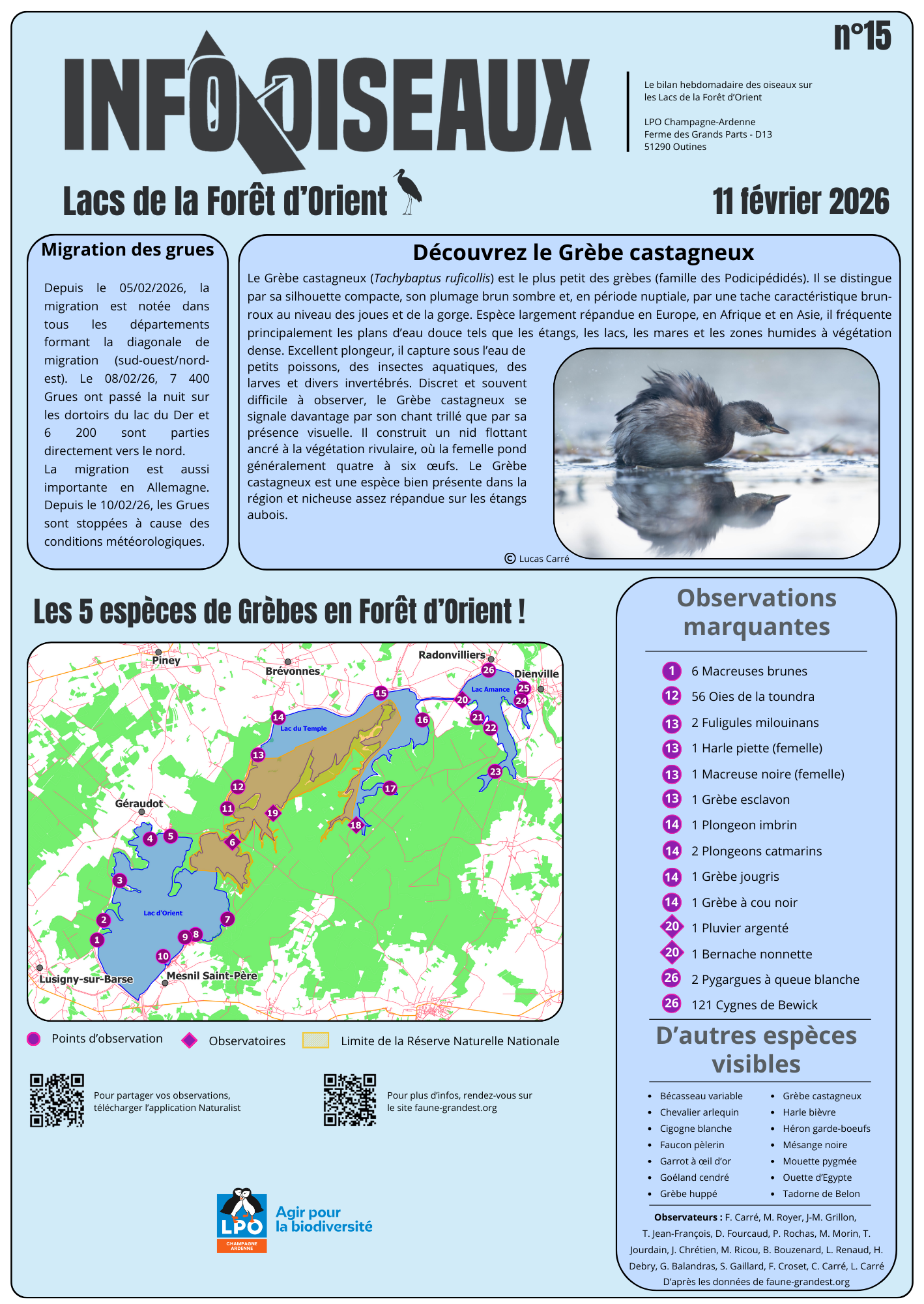 info oiseaux 15