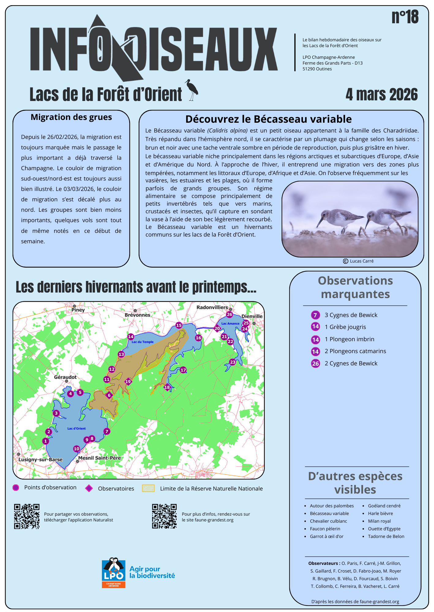 info oiseaux 18