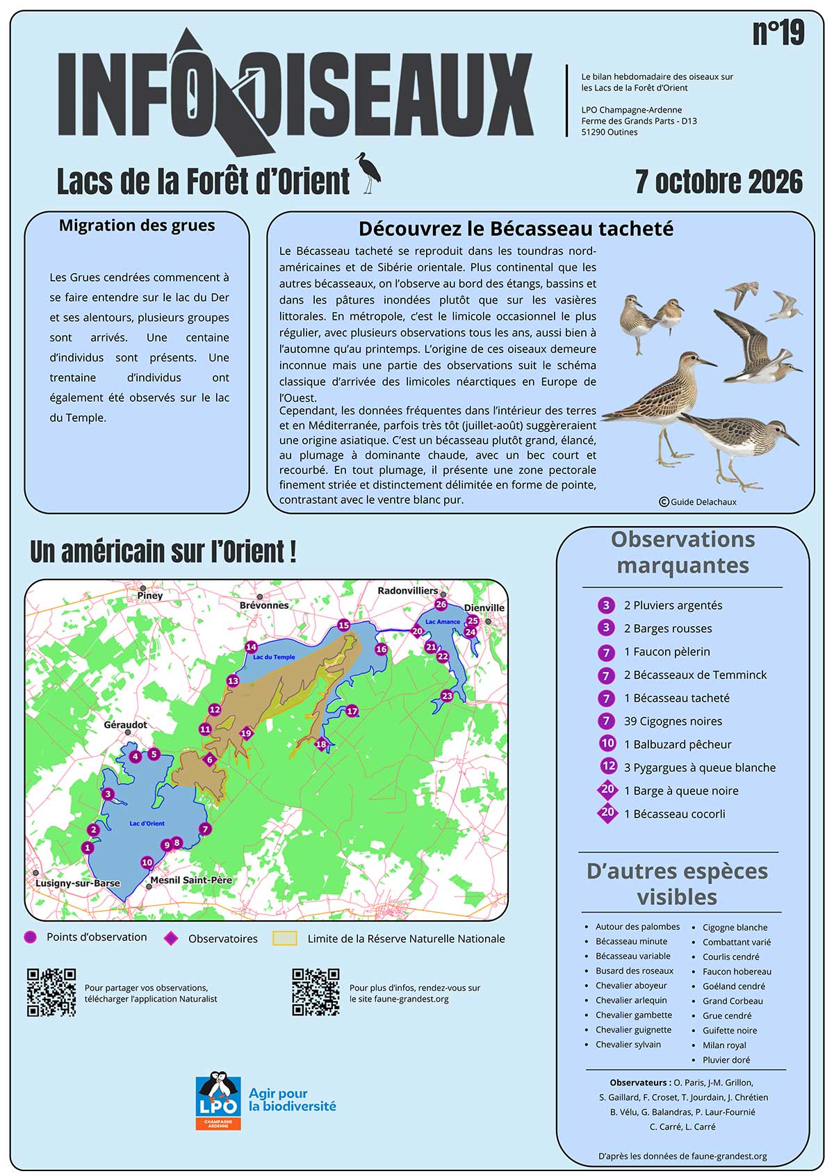 info oiseaux lacs de la foret dorient n19