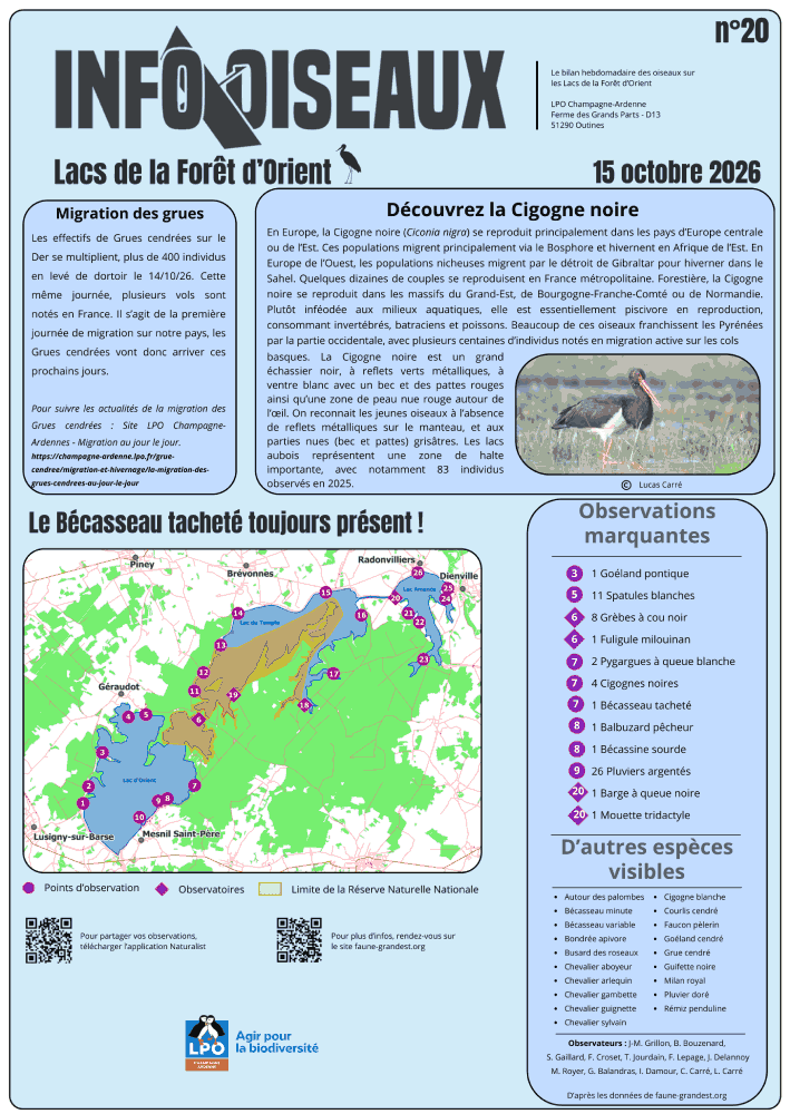 info oiseaux lacs de la foret dorient n20