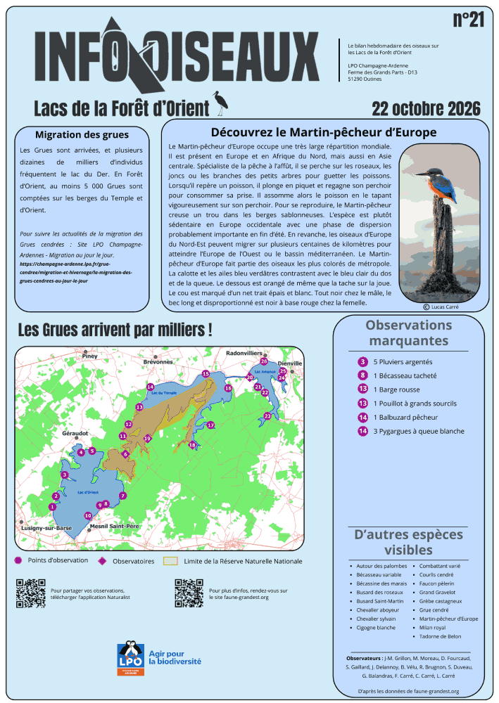 info oiseaux lacs de la foret dorient n21
