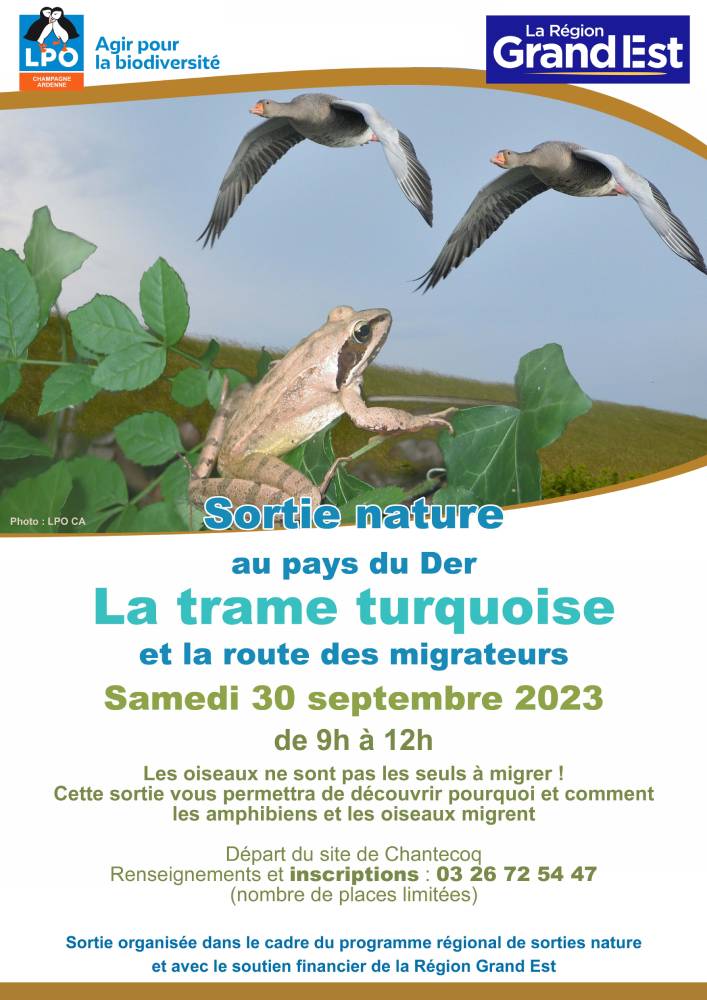 affiche sortie tt lac du der2