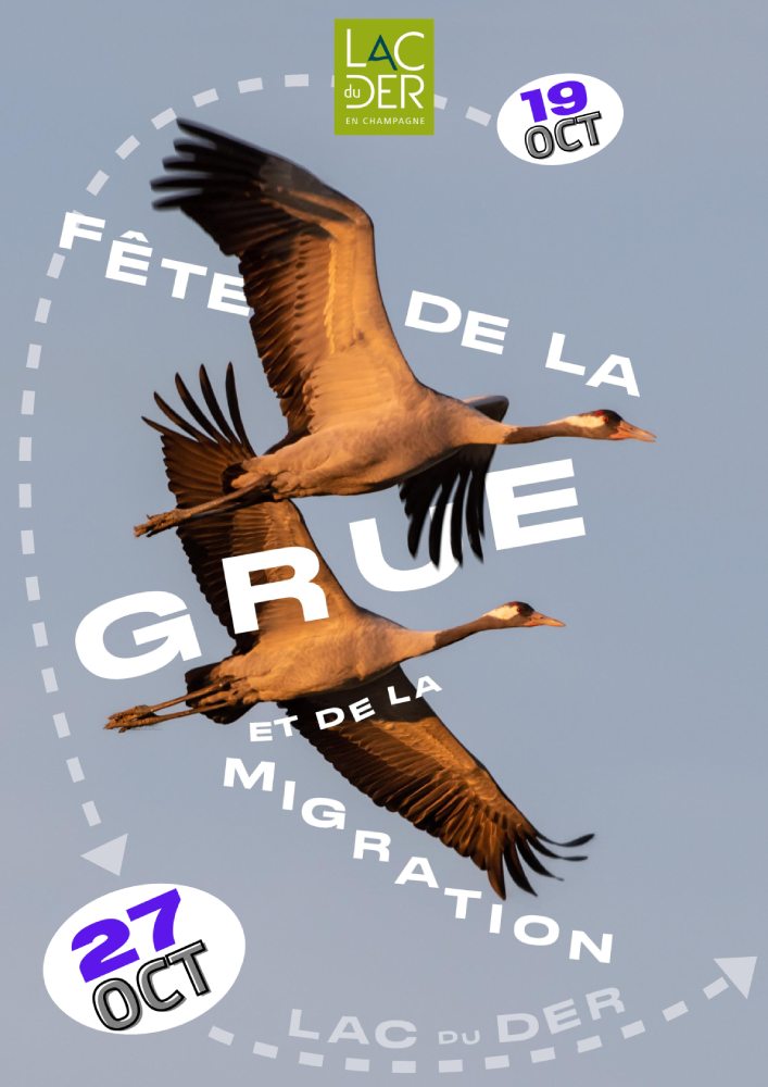 eclflyersfdg2023