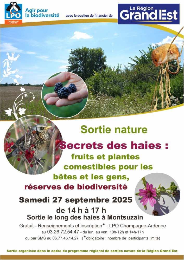 affiche sortie haies
