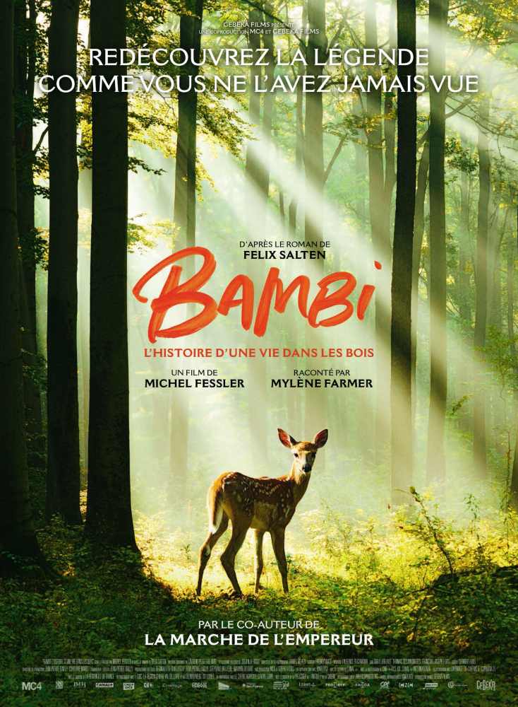 bambi 120x160 08 07 scaled