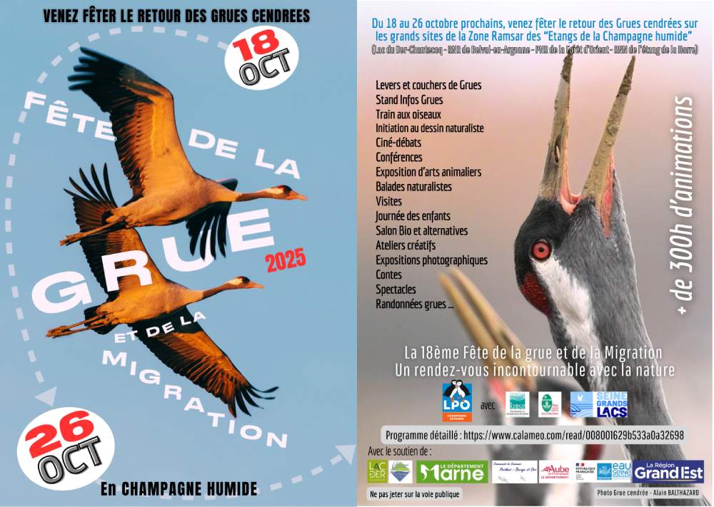 ecl flyer fdg etemduo