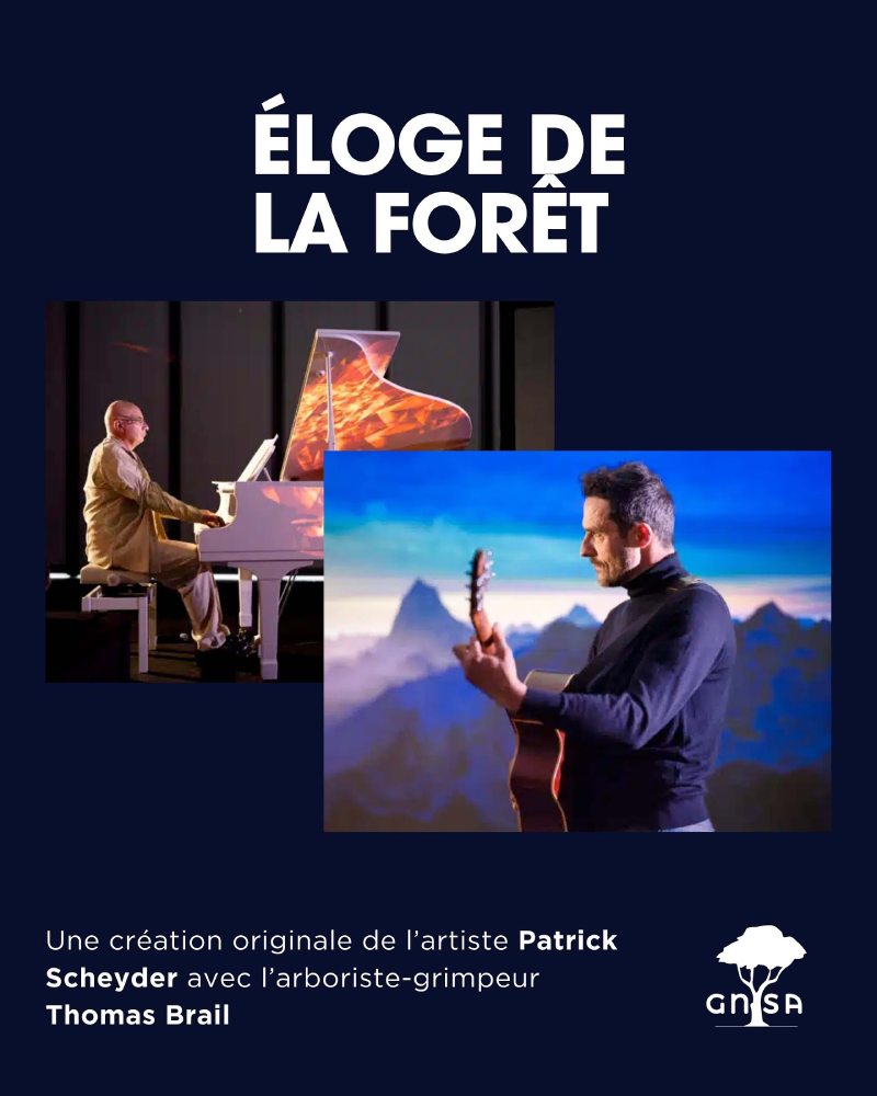 eloge de la forêt 2025