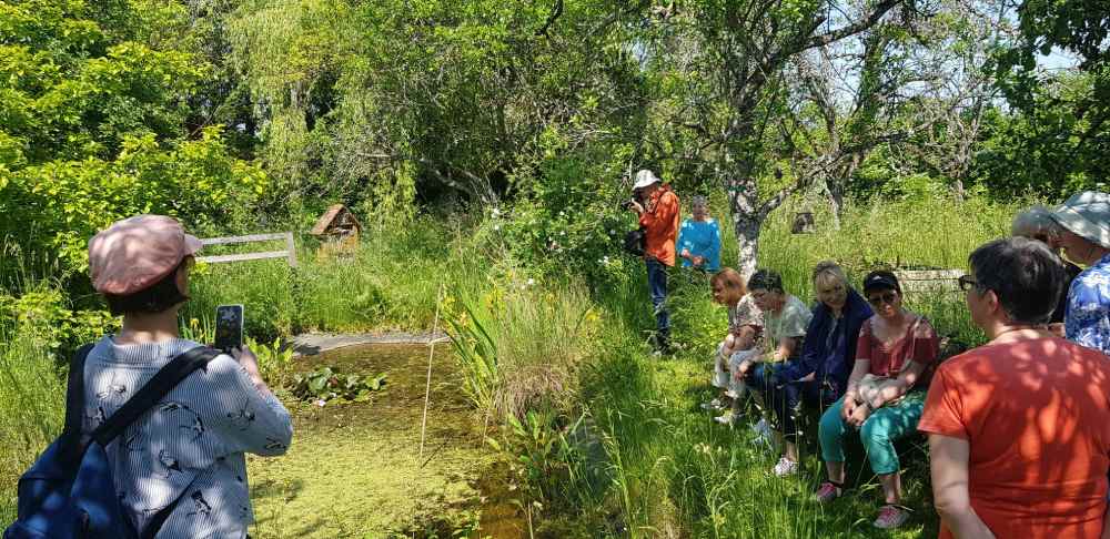 Photo MC fdln2023 jardin wa0040