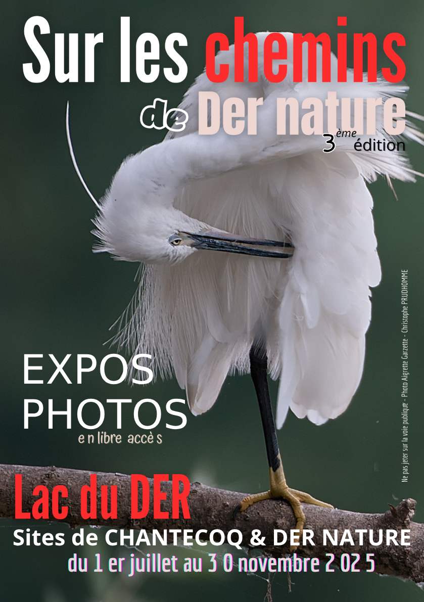 flyer expo der nature 2025